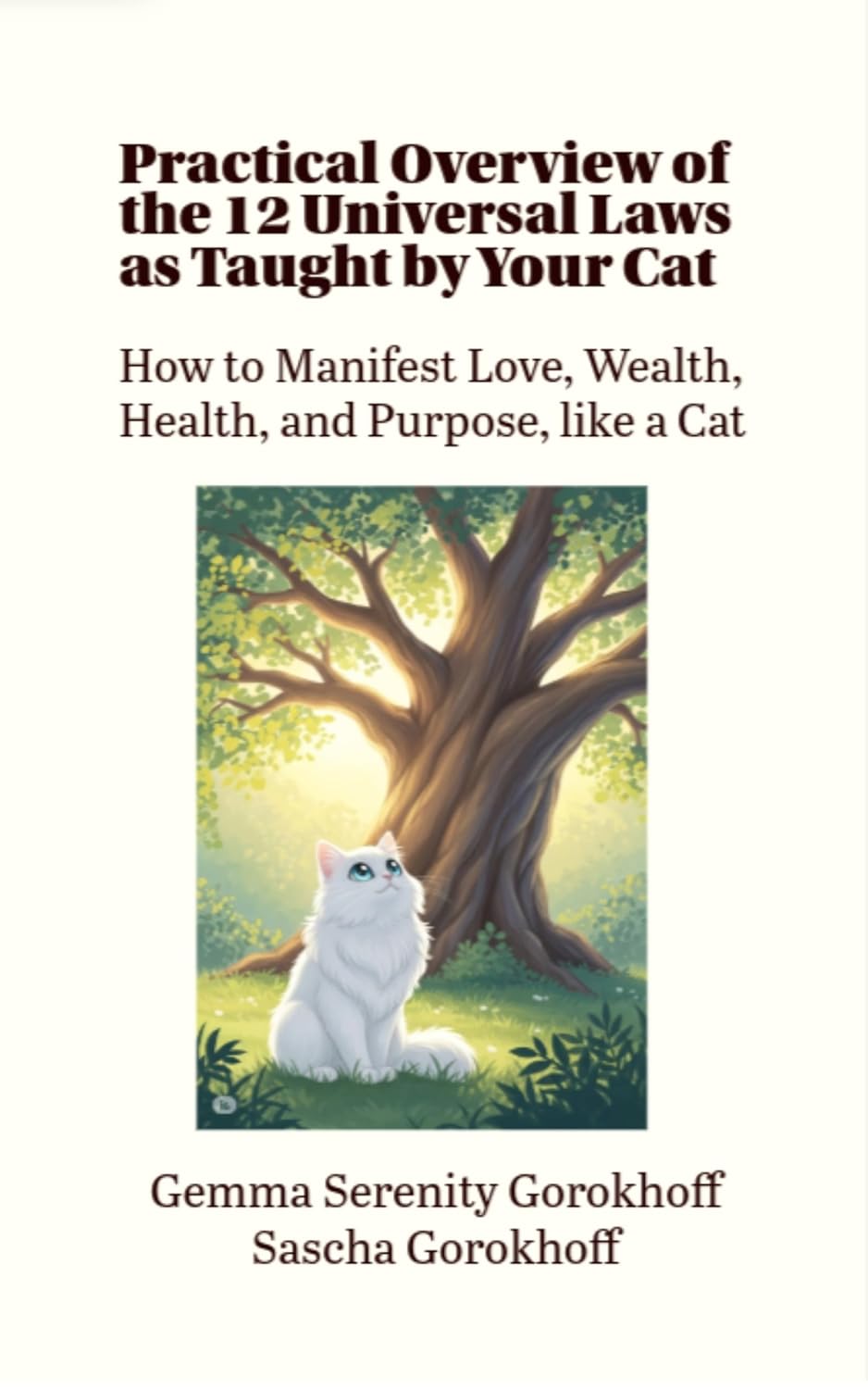 12 Universal Laws